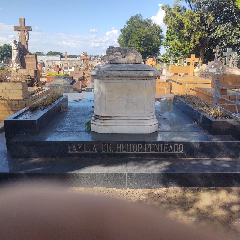 passeiocemit_img (7)